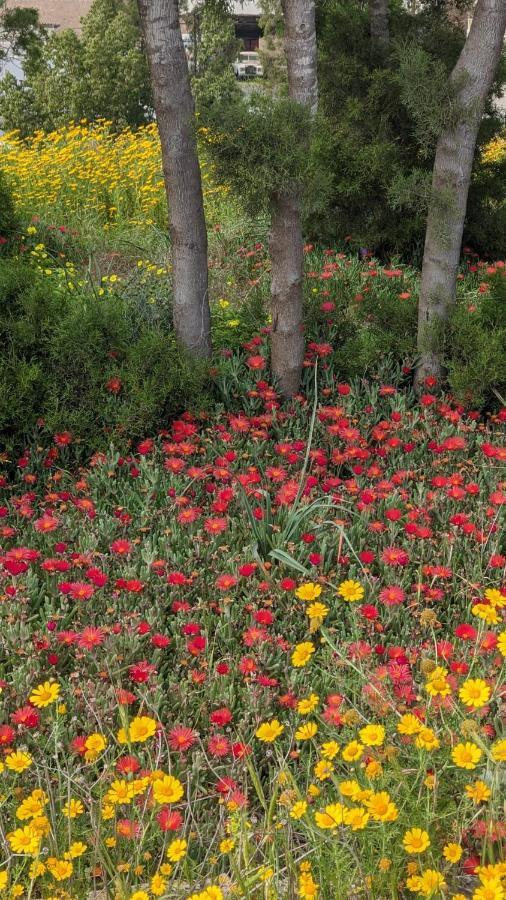 Апартаменты P.Gardens 103 Пейя Экстерьер фото